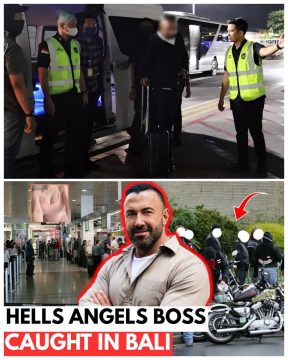 Australian INTERPOL Fugitive Arrested in Bali in the Toilet of a Private Jet
