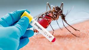 Dengue Fever Cases Climbing in Bali’s Gianyar Regency