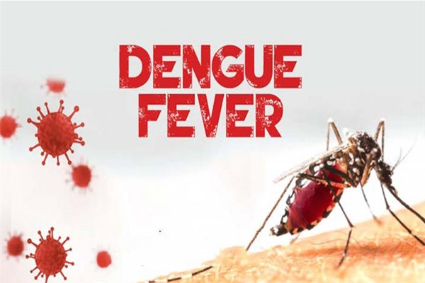 Dengue Fever Cases Climbing in Bali’s Gianyar Regency