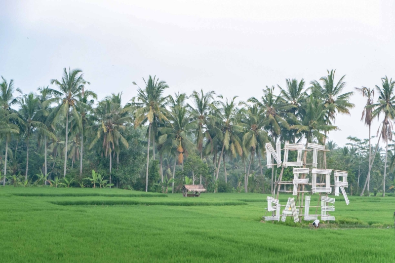 Editorial: Who Owns Bali?