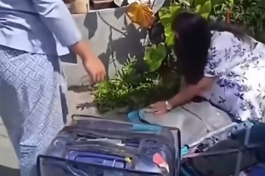 Indian Tourists Unpunished After Aggressively Pilfering a Hotel Room in Ubud, Bali
