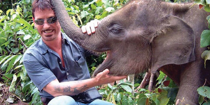 Nigel Mason: Spots the Real Elephant in the Room
