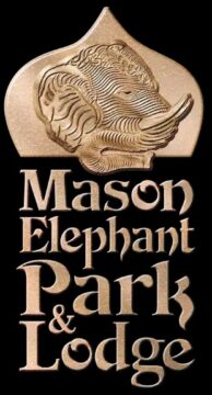 Nigel Mason: Spots the Real Elephant in the Room