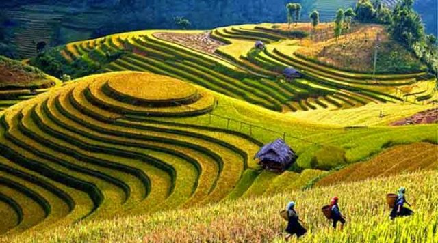 Subak: Bali&rsquo;s Ancient Water Management System Explained