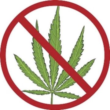 Indian Tourist Arrives in Bali with 10 kg of Marijuana