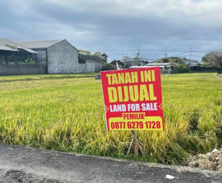 Alluring Land Prices Put Bali’s Remaining Rice Fields at Risk. What Can Be Done Before Time Runs Out?