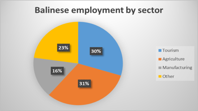 Bali’s Economy Needs Diversification to End Over-Dependence on Tourism