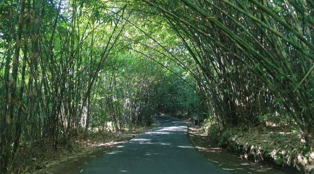 Penglipuran, Bali Named Among the World’s 20 Most Beautiful Villages 2026